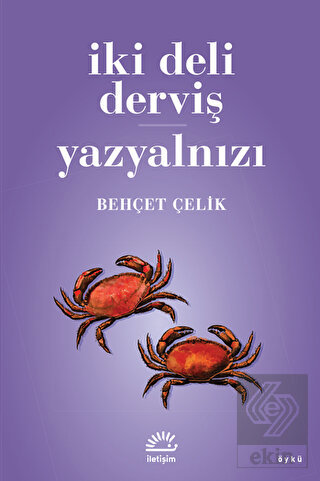 İki Deli Derviş - Yazyalnızı