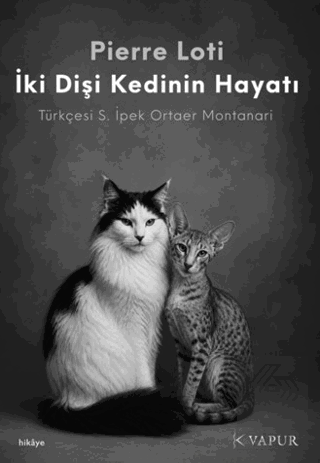 İki Dişi Kedinin Hayatı Pierre Loti Vapur Yayınları Satın Al - ekinkit