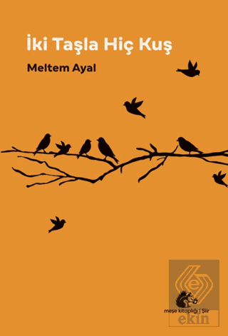 İki Taşla Hiç Kuş