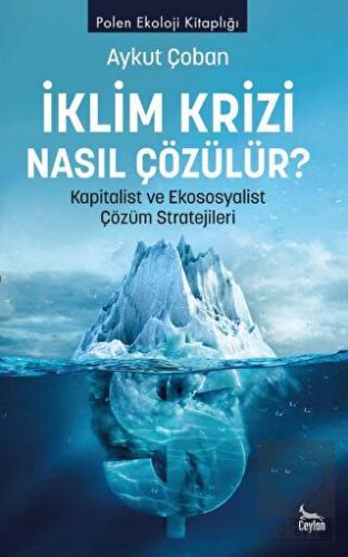 İklim Krizi Nasıl Çözülür? Kapitalist ve Ekososyal