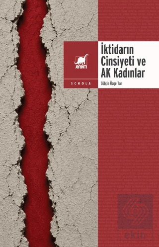 İktidarın Cinsiyeti ve Ak Kadınlar Gülçin Özge Tan Ayrıntı Yayınları S