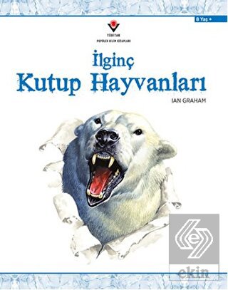 İlginç Kutup Hayvanları