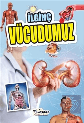 İlginç Vücudumuz
