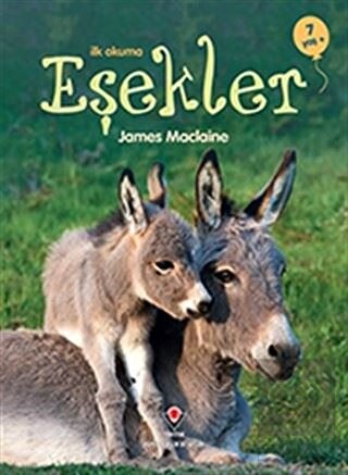 İlk Okuma - Eşekler