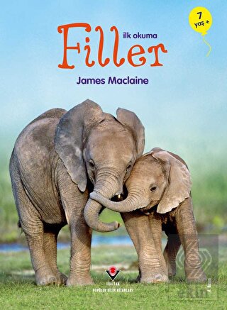 İlk Okuma - Filler