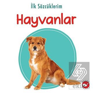 İlk Sözcüklerim - Hayvanlar