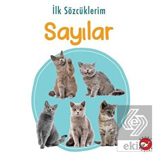 İlk Sözcüklerim - Sayılar