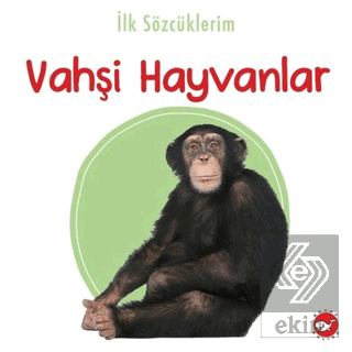 İlk Sözcüklerim -Vahşi Hayvanlar