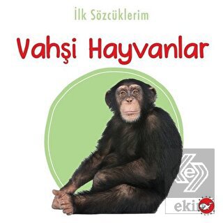 İlk Sözcüklerim -Vahşi Hayvanlar