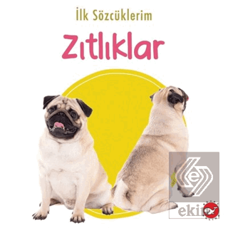 İlk Sözcüklerim - Zıtlıklar
