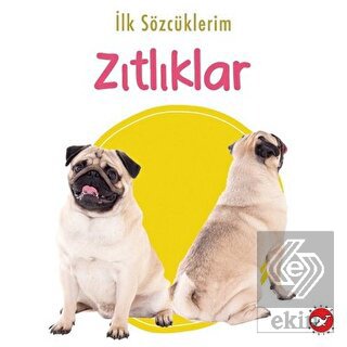 İlk Sözcüklerim - Zıtlıklar