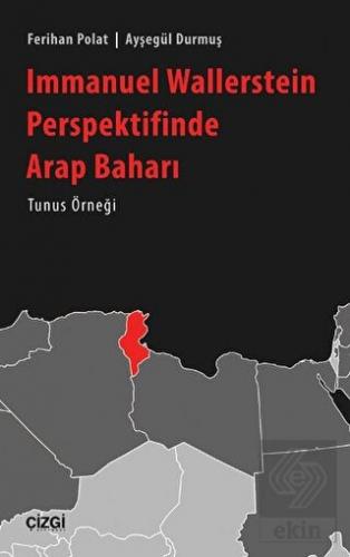 Immanuel Wallerstein Perspektifinde Arap Baharı Tu