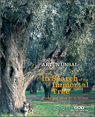 In Search Of The Immortal Tree/ Olives and Olive O