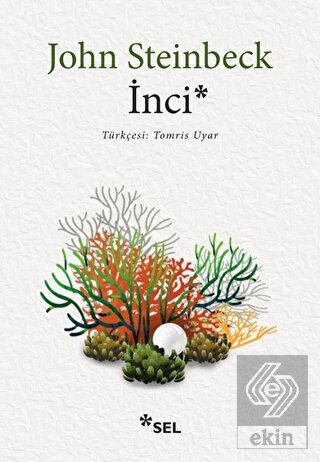 İnci