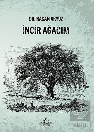 İncir Ağacım