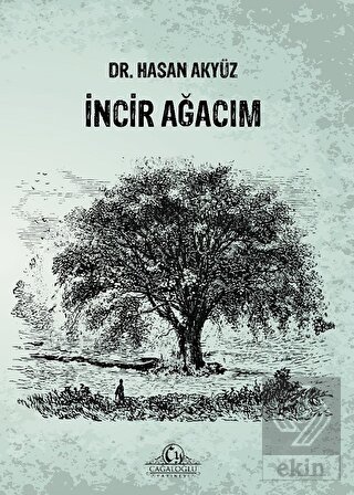 İncir Ağacım
