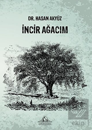 İncir Ağacım