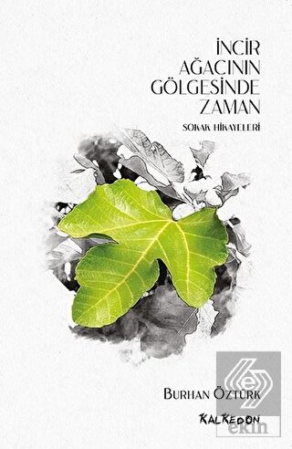 İncir Ağacının Gölgesinde Zaman