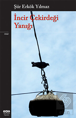 İncir Çekirdeği Yanığı