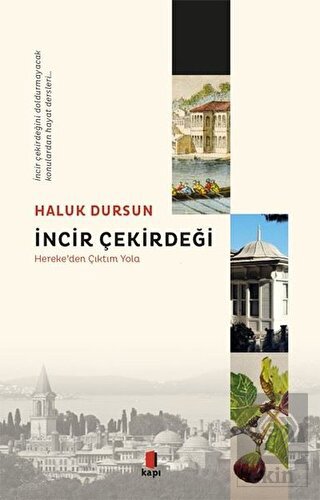 İncir Çekirdeği