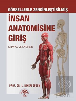 İnsan Anatomisine Giriş - Görsellerle Zenginleştir