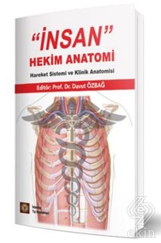 ''İnsan'' Hekim Anatomi Hareket Sistemi ve Klinik