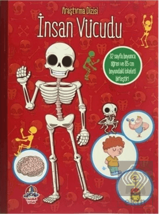 İnsan Vücudu - Araştırma Dizisi