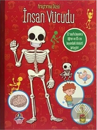 İnsan Vücudu - Araştırma Dizisi