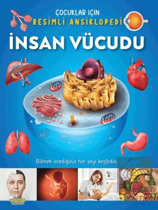 İnsan Vücudu / Çocuklar İçin Resimli Ansiklopedi