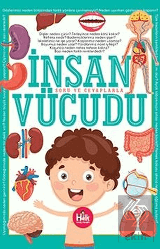 İnsan Vücudu