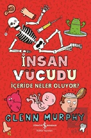 İnsan Vücudu