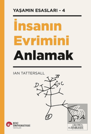 İnsanın Evrimini Anlamak