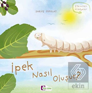 İpek Nasıl Oluşur?