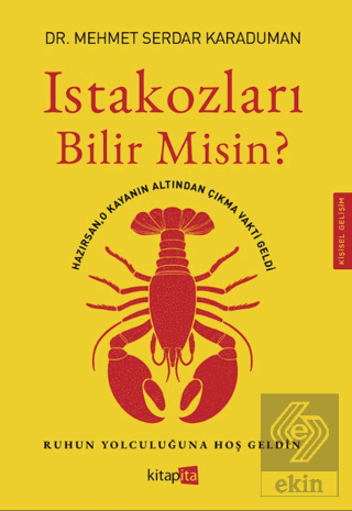 Istakozları Bilir Misin?