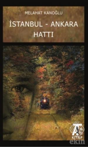 İstanbul - Ankara Hattı