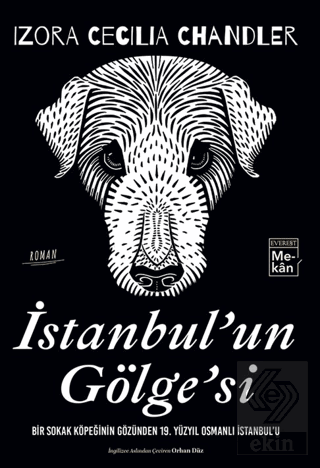İstanbulun Gölgesi