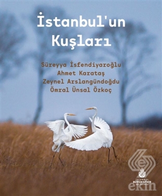 İstanbul'un Kuşları