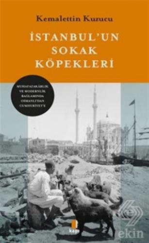 İstanbul'un Sokak Köğpekleri