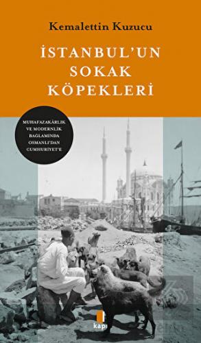 İstanbul'un Sokak Köğpekleri