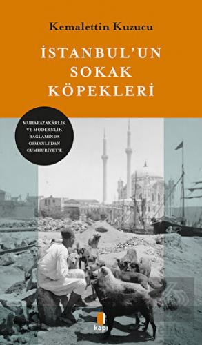 İstanbul'un Sokak Köğpekleri
