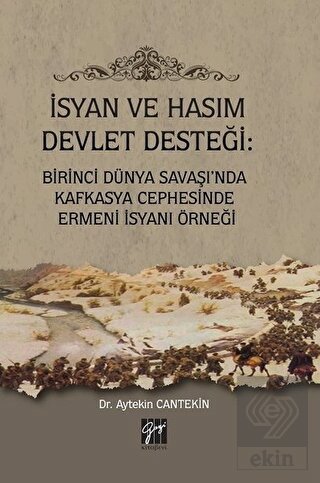 İsyan ve Hasım Devlet Desteği: Birinci Dünya Savaş