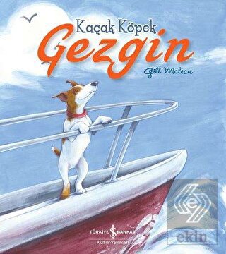 Kaçak Köpek Gezgin