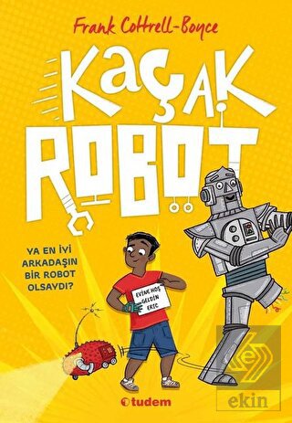 Kaçak Robot