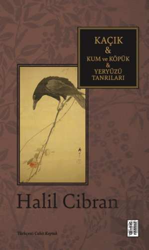 Kaçık & Kum ve Köpük & Yeryüzü Tanrıları