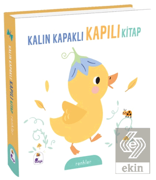 Kalın Kapaklı Kapılı Kitap - Renkler