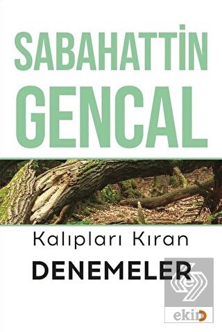 Kalıpları Kıran Denemeler