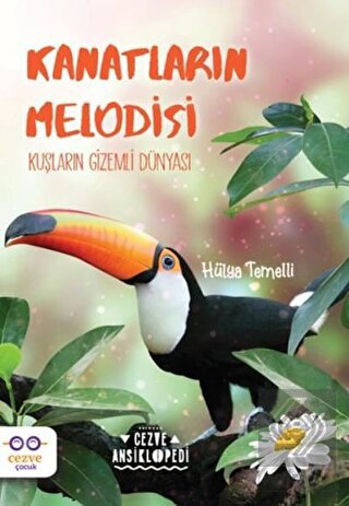 Kanatların Melodisi