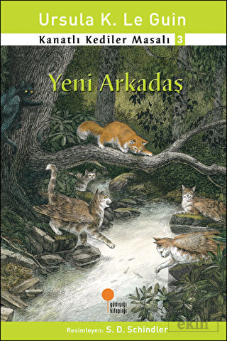 Kanatlı Kediler Masalı 3 - Yeni Arkadaş