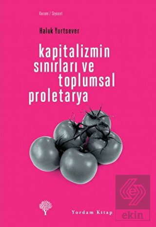 Kapitalizmin Sınırları ve Toplumsal Proletarya