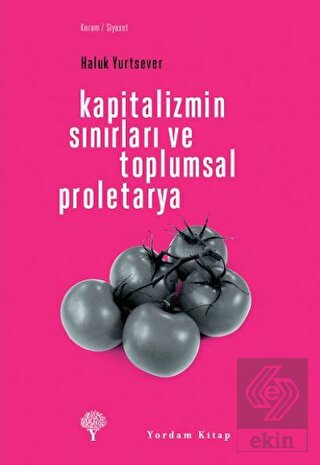 Kapitalizmin Sınırları ve Toplumsal Proletarya